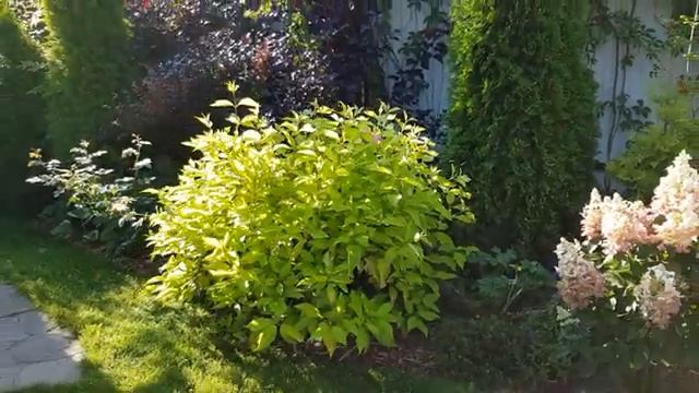 Мой день в огороде часть (3)