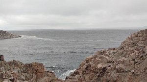 Северный Ледовитый океан.