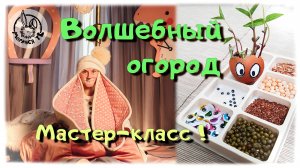 Волшебный огород!/Мастер-класс
