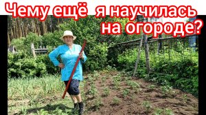 Наш первый урожай 🌿🤩😍😁