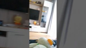 VID_20250622_180555.mp4