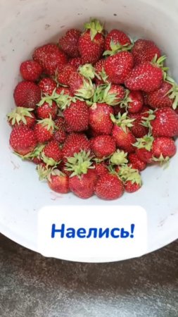 Замораживаете клубнику?