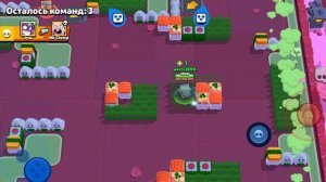 вот мой аккаунт в brawl stars