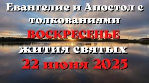 Евангелие дня 22 ИЮНЯ 2025 с толкованием.  Апостол дня.  Жития Святых.