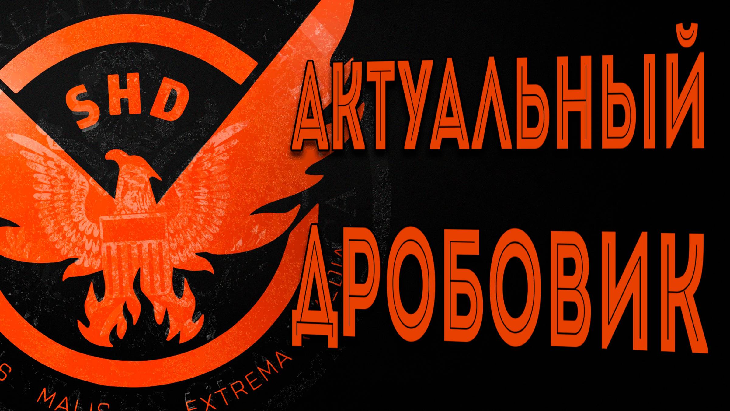Актуальные сборка на Дробовик июнь 2025 The Division 2