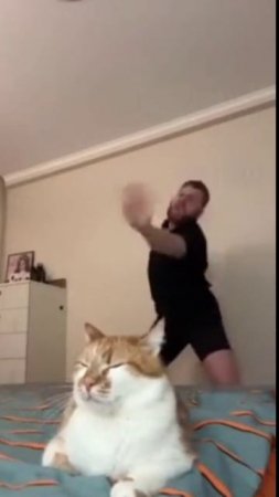 котик