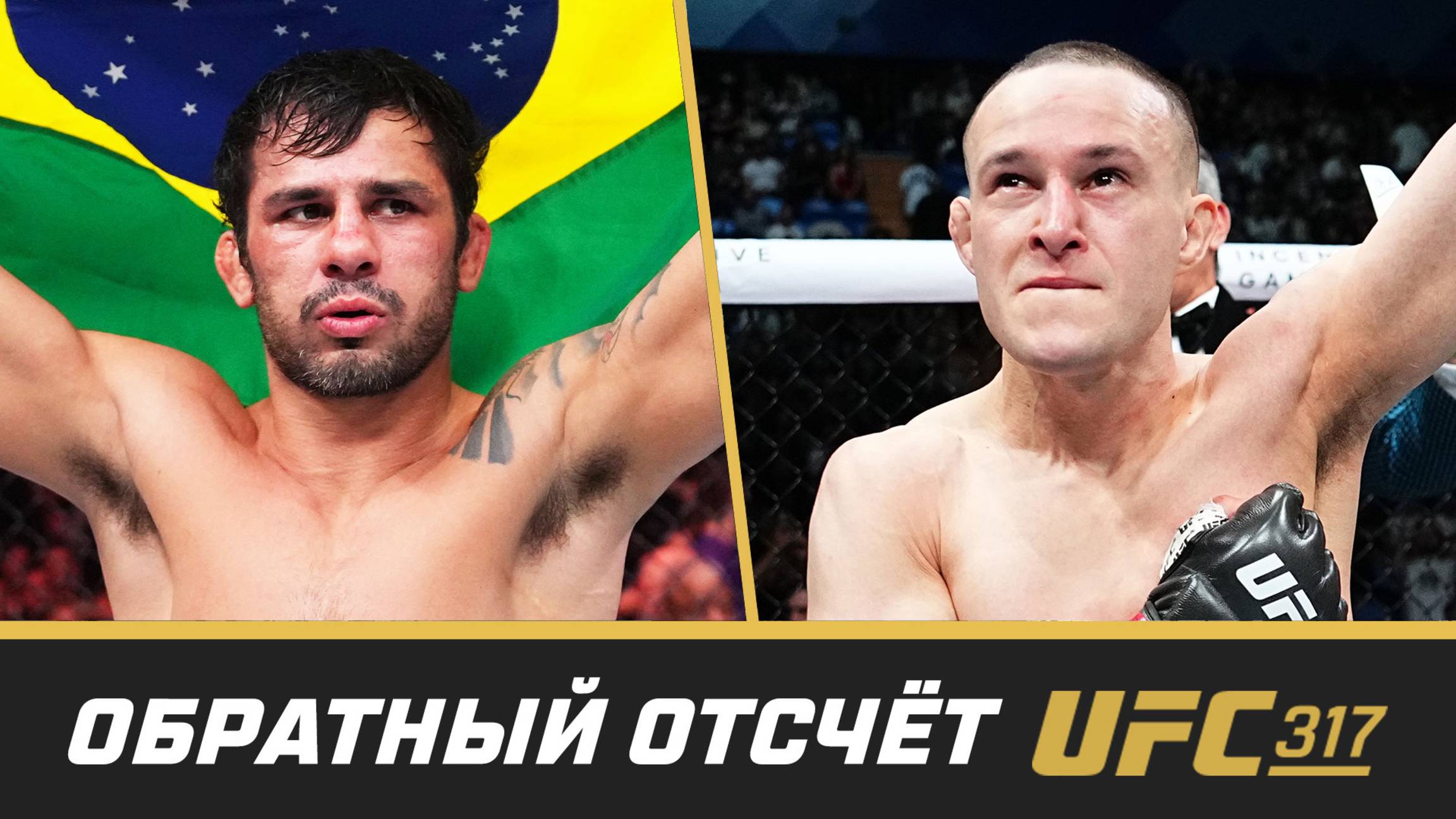 UFC 317 Обратный отсчет - Пантожа vs Кара-Франс