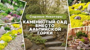 Каменистый сад вместо альпийской горки 3