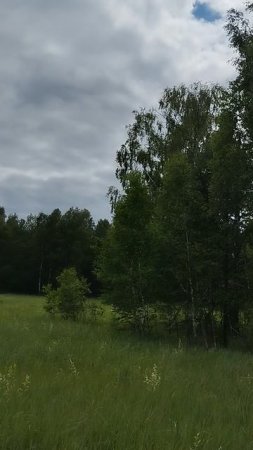 1000163412.mp4