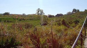 Ловля ельца на мормышку на микроречке. Ловля мормышингом на малой реке