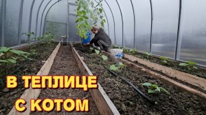 Они бы там погибли/очень странные/она сбежала/я очень этому рада.