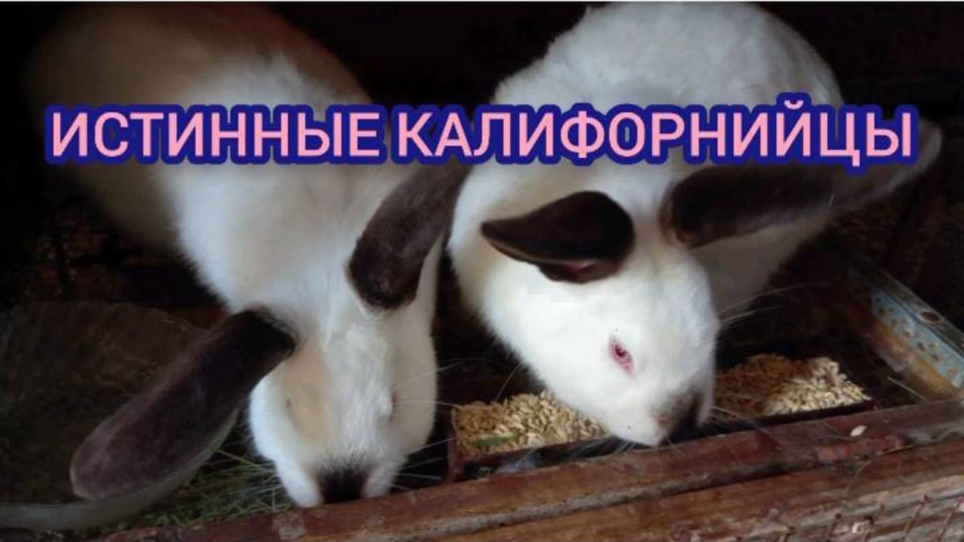 Продолжаем знакомство.
