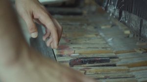 12549260_3840_2160_50fps