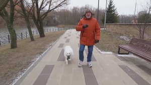 Бросить курить сложно, но можно! Доброе утро. Фрагмент выпуска от 04.03.2025