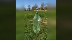 Отпугиватель кротов