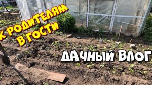 ДАЧНЫЙ ВЛОГ / ПРИЕХАЛ В ГОСТИ К РОДИТЕЛЯМ, И ПОЕХАЛИ НА ДАЧУ
