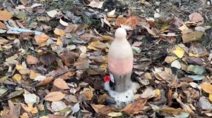 Эксперимент кока-кола