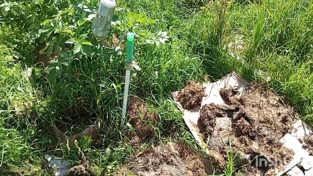 22-06-2025 ЯРОСЛАВЛЬ.ДЕЛАЮ ТРОПИНКИ,ЧТОБЫ НЕ РОСЛА ТРАВА