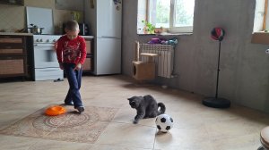 Покупки из Фикс прайс// Сажаю горох с перцем