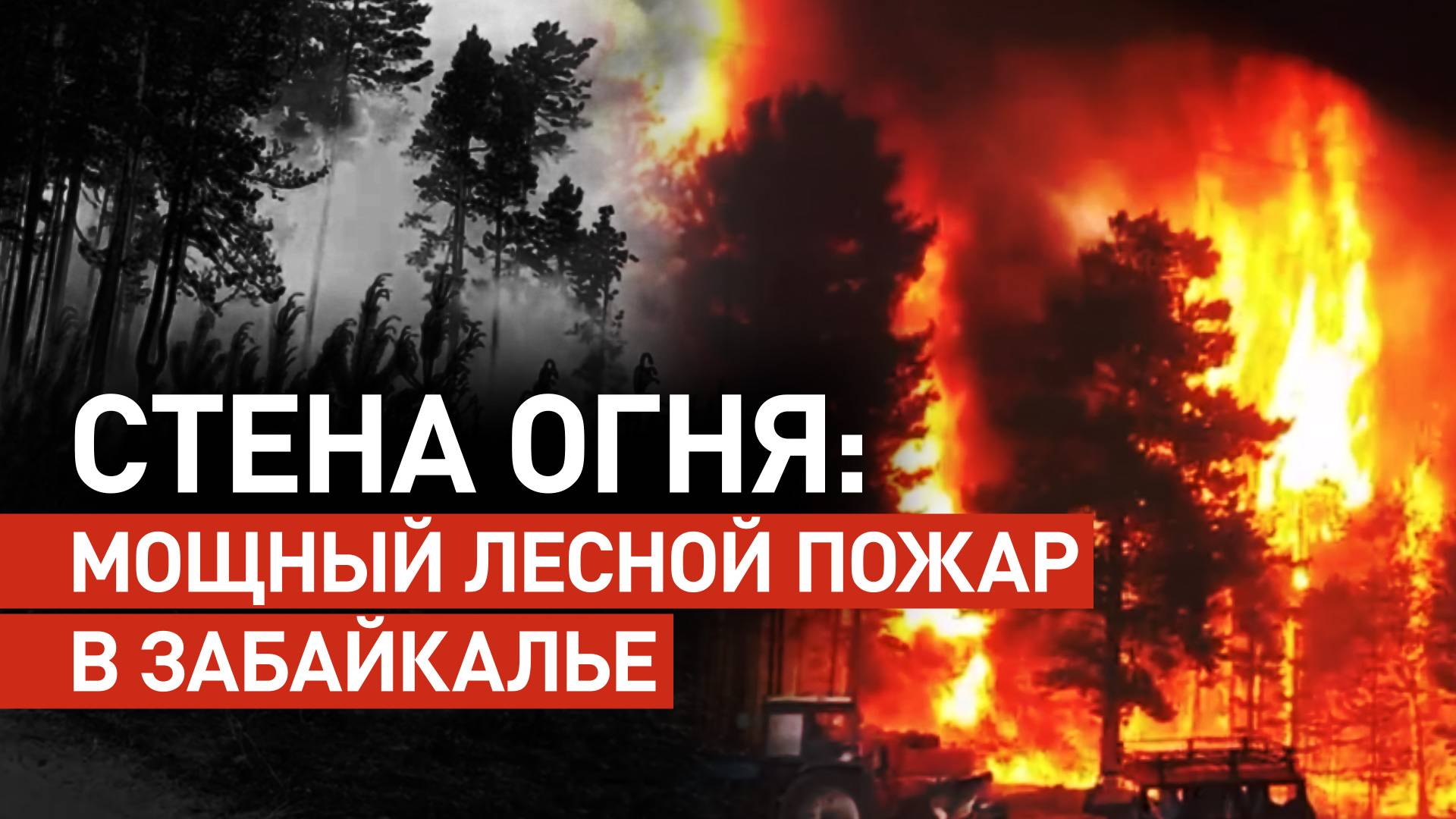Огонь охватил 100 га леса и подбирается к жилым домам посёлка Атамановка — видео