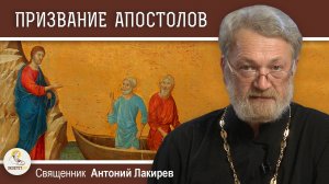 ПРИЗВАНИЕ ПЕРВЫХ АПОСТОЛОВ (Мф. 4:18-23). Священник Антоний Лакирев. Воскресное Евангелие