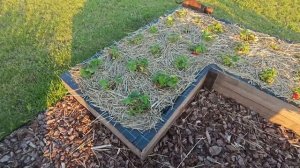 ✅✅✅Всё порежу и выкину!  #влог  #латвия