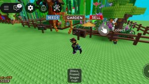 Играю перед обновлением. Roblox вырасти сад "ДИСКОТЕКА".