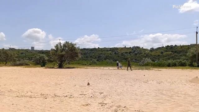 Голубицкая Центральный пляж сегодня 22 июня 2025. Азовское море и погода в Голубицкой сейчас