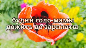 ОДНА С ДВУМЯ ДЕТЬМИ КАК ДОЖИТЬ ДО ЗАРПЛАТЫ