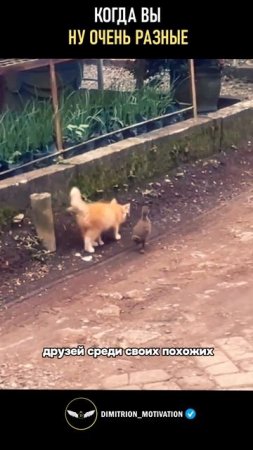 Когда вы очень разные #саморазвитие