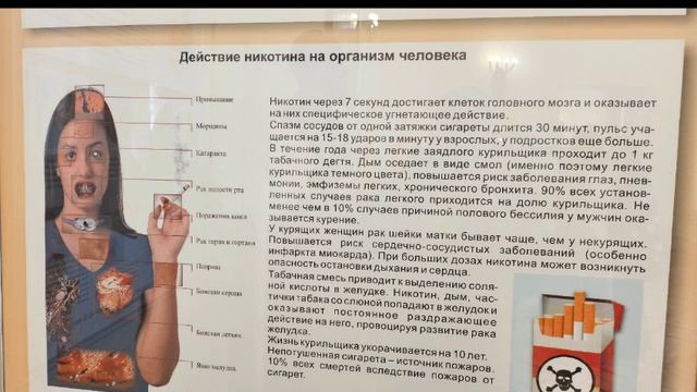 Прогулка с внучкой Никой по  Санкт-Петербургу 20 июня 2025 года