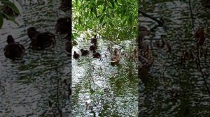 1000020574.mp4