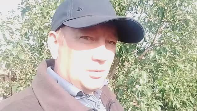 Домик в деревне
