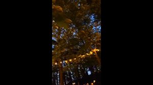 Кальянная Pine River