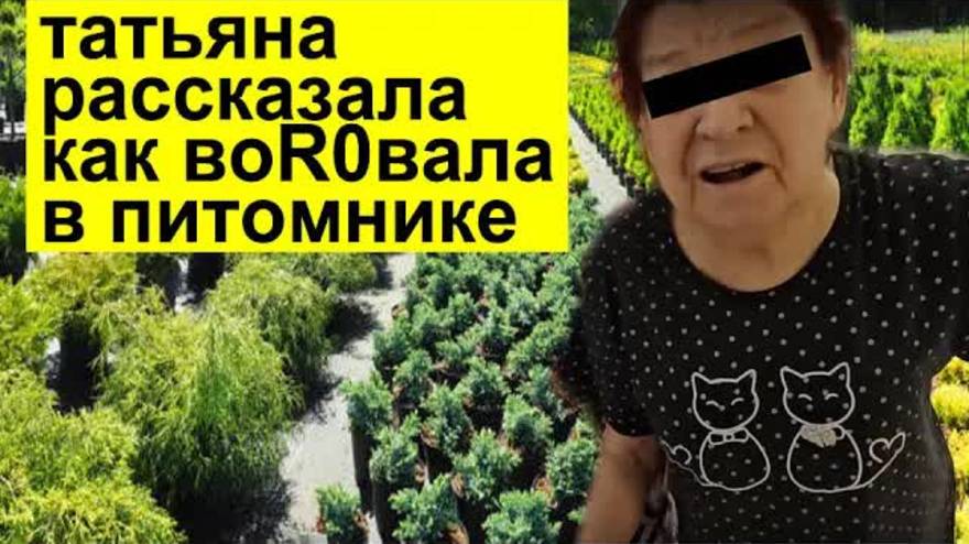 СК- Самвел Адамян- МАМА ПРИ3НАЛАСЬ КАК Взаимствовала ДЕРЕВЬЯ В ПИТОМНИКЕ