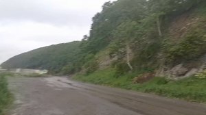Камчатка 12.mp4