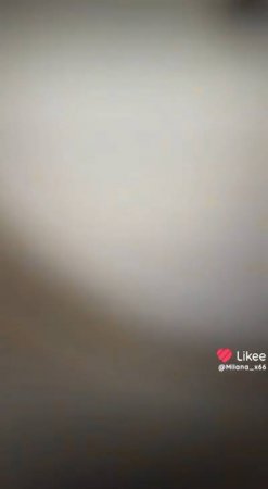 он такой милый был когда собакой был