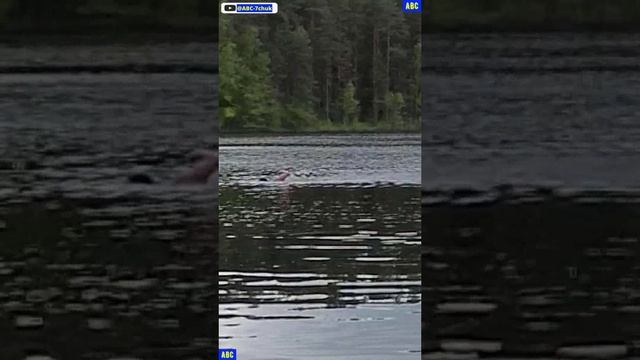 Обычный воскресный фитнес 22.06.2025 #юныйпрадедбодрыйдед #авсарх #shorts