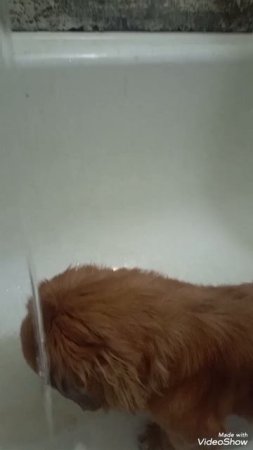 1000217696.mp4