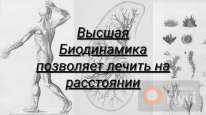 Высшая Биодинамика позволяет лечить на расстоянии