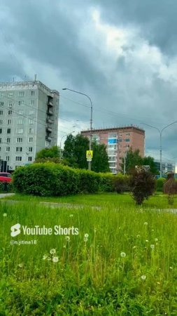 #новокузнецк #сибирь #2025 #лето #жизнь#shortvideo #status #short #song #music #надеждажитина