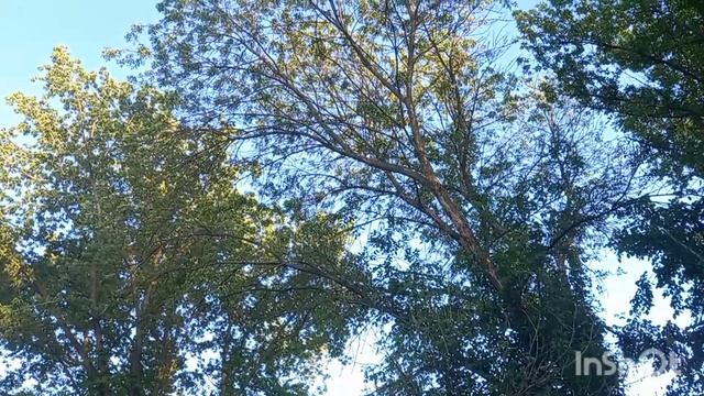Вечерняя прогулка рядом с дачей