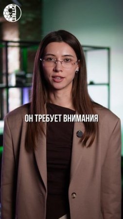 ⚠️ ТОП- 2 ОШИБКИ  НОВИЧКА. Часть 2 ⚠️