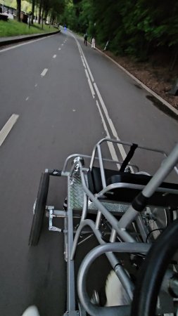 Парк Горького/Нескучный Сад