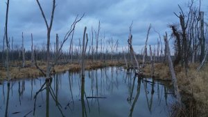 19409615-uhd_3840_2160_30fps