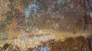 Начать сначала...Автор Наталья Кислощук