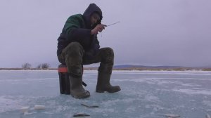 Поездка в Инкино, устье Селенги, Байкал, рыбалка/отдых