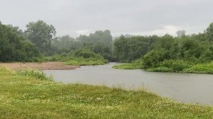 Relax. Лесные реки, сильный дождь