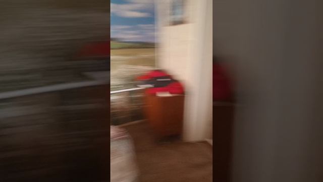 китайские прятки в доме с друзьям