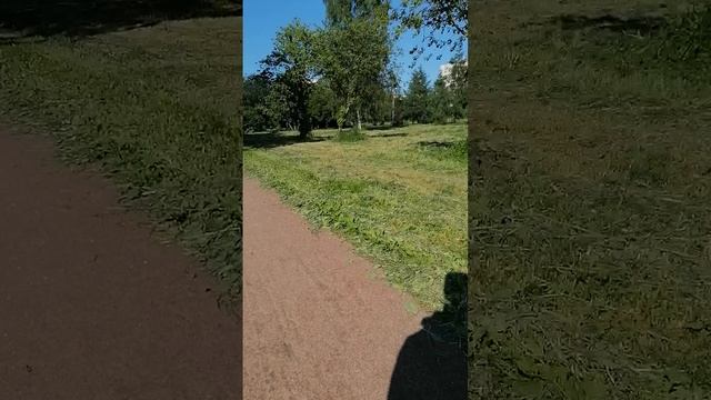 Гармония на Искровском